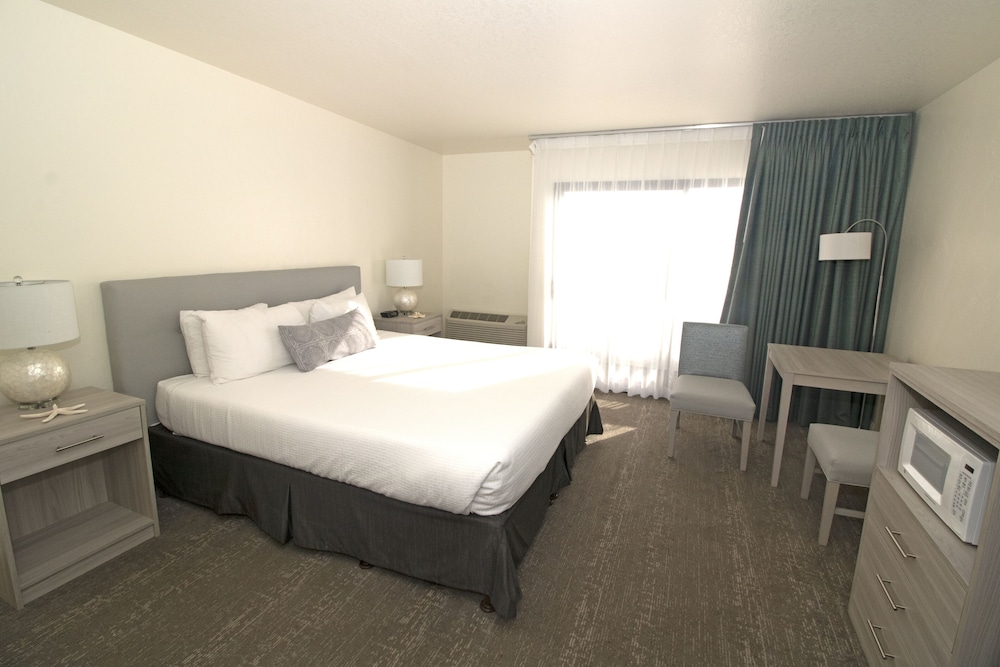 Standard Room, 1 King Bed, Bay View - Photo 1