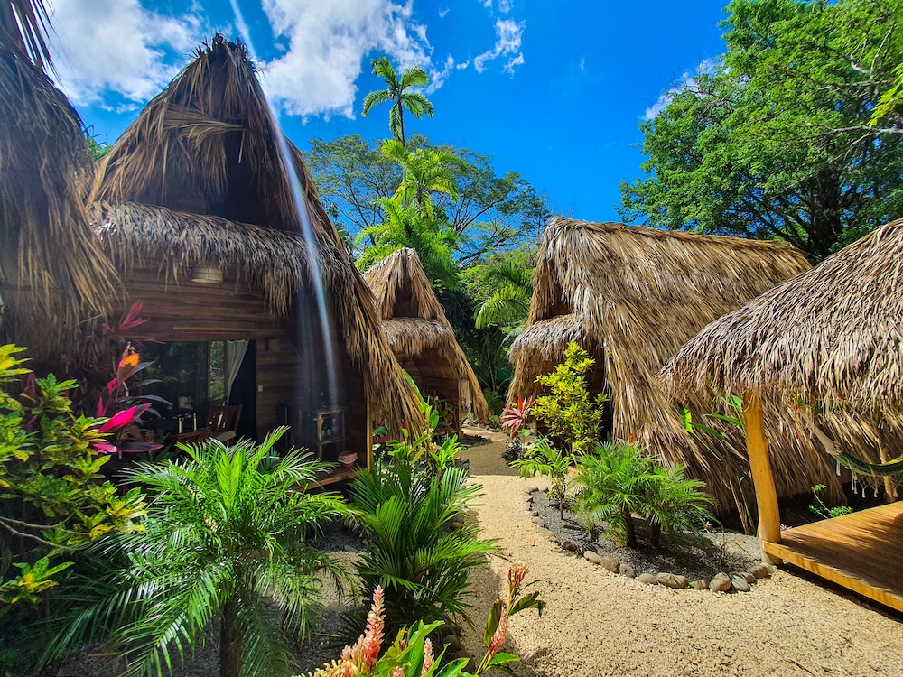 Deluxe Bungalow photo 2