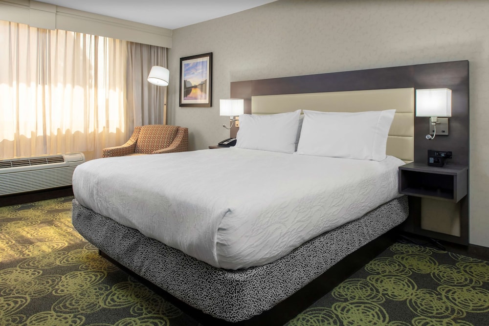 Room, 1 Queen Bed, Accessible, Bathtub (Mobility/Hearing Accessible) photo 3