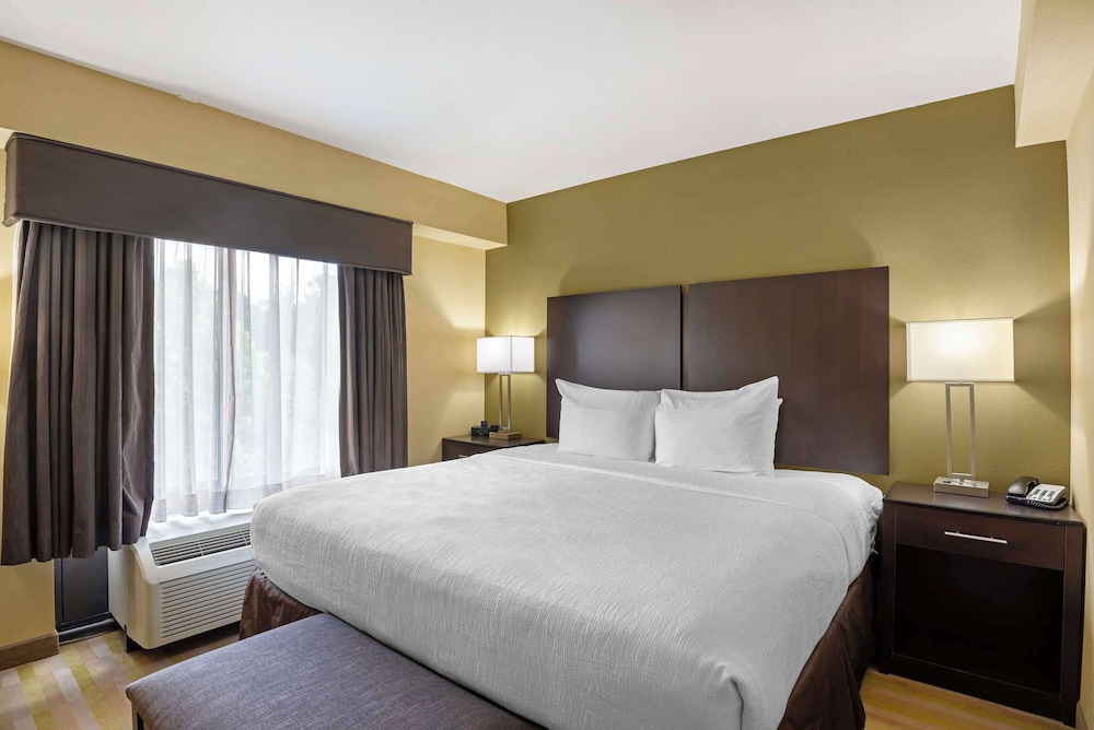 Suite, 1 King Bed, Accessible, Kitchenette (with Sofabed) photo 2