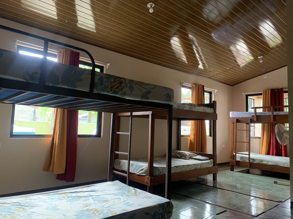 Basic Shared Dormitory photo 2