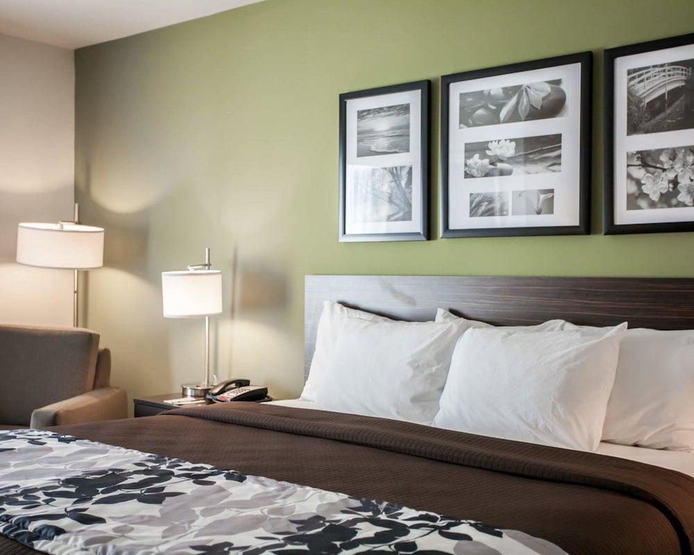 Suite, 1 King Bed with Sofa bed, Accessible, Non Smoking photo 3