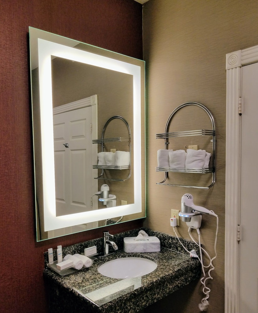 Suite, 1 King Bed, Accessible, Non Smoking (Roll-in shower) - Photo 19