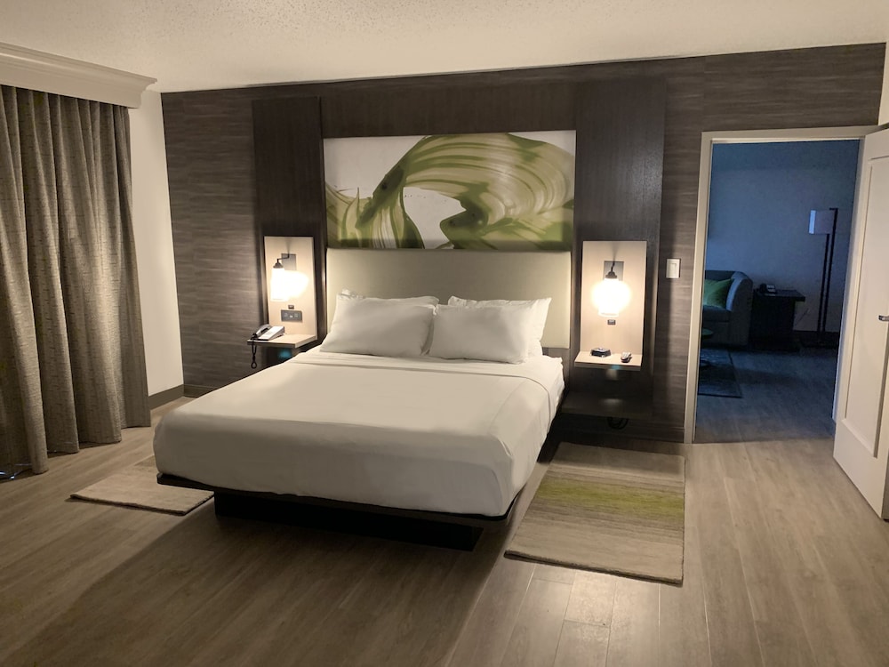 Room, 1 King Bed (Mobility/Hearing Accessible, Tub)