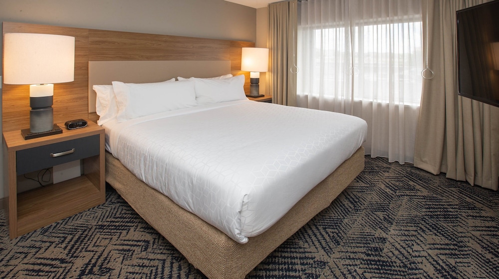 Studio Suite, 1 King Bed - Photo 1