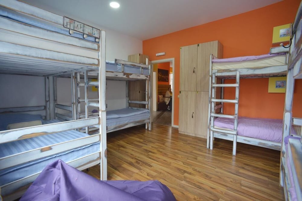 Bed in 8-Bed Female Dormitory photo 1