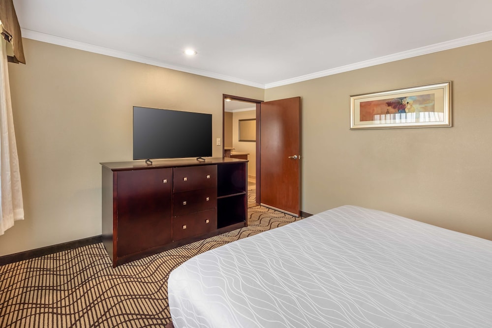 Suite, 1 King Bed, Non Smoking, Jetted Tub - Photo 5