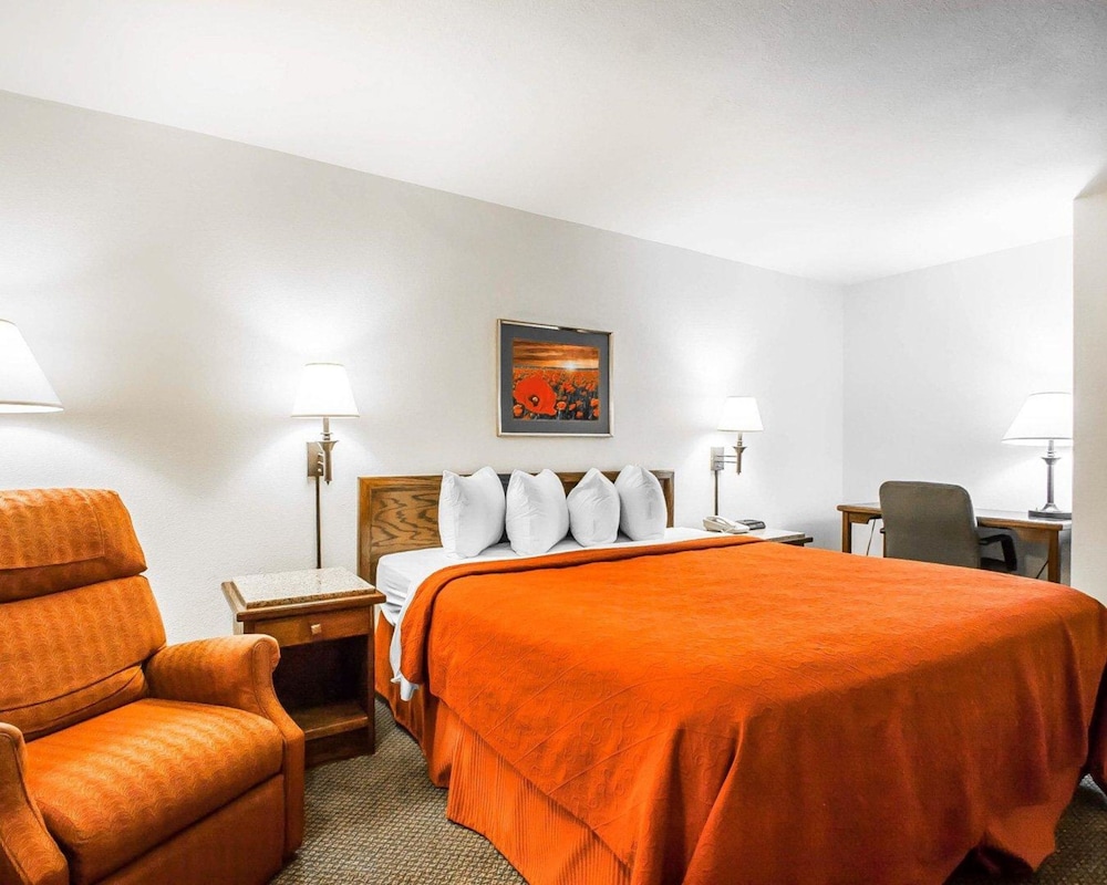 Standard Room, 1 King Bed, Non Smoking photo 1