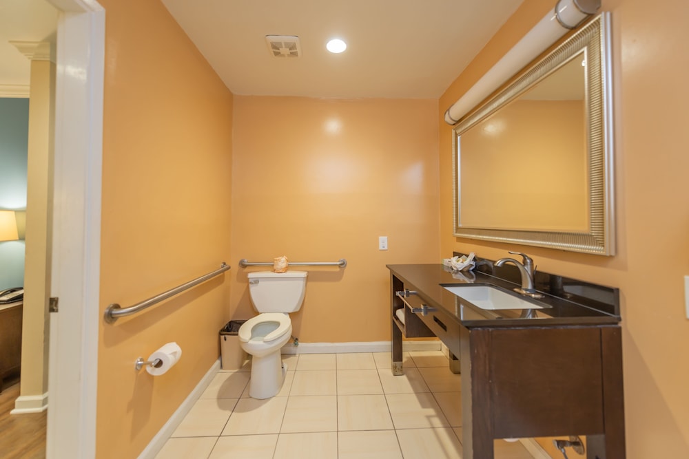 Room, 1 Queen Bed, Mobility Accessible - Photo 7