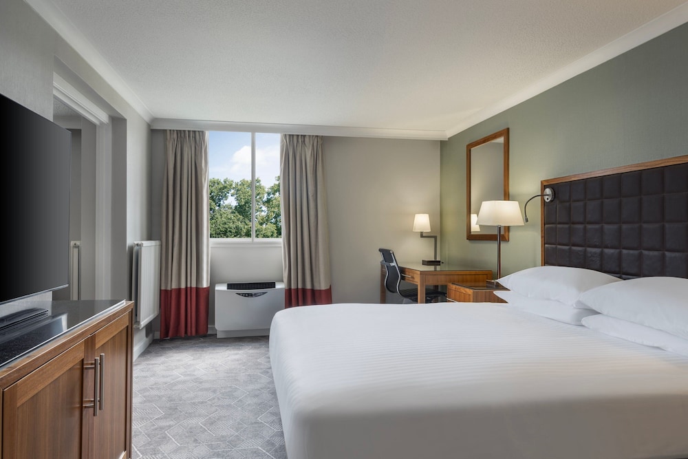 Suite, 1 King Bed with Sofa bed