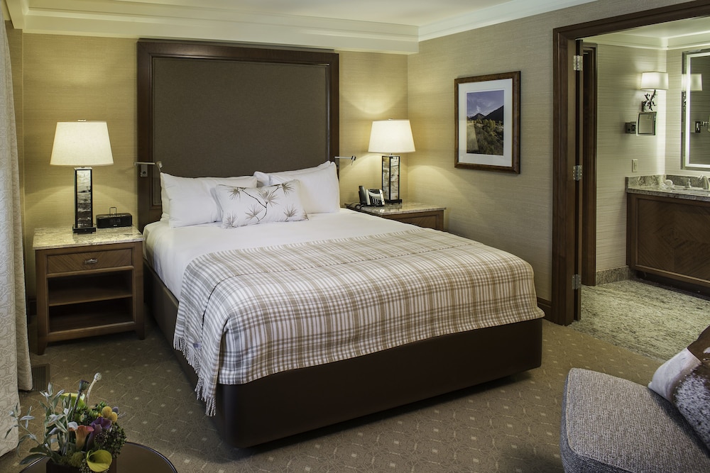Lodge Terrace Suite
