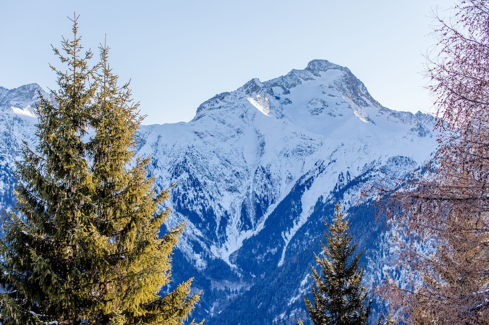 Chambre Grand Nord - 3 personnes photo 2