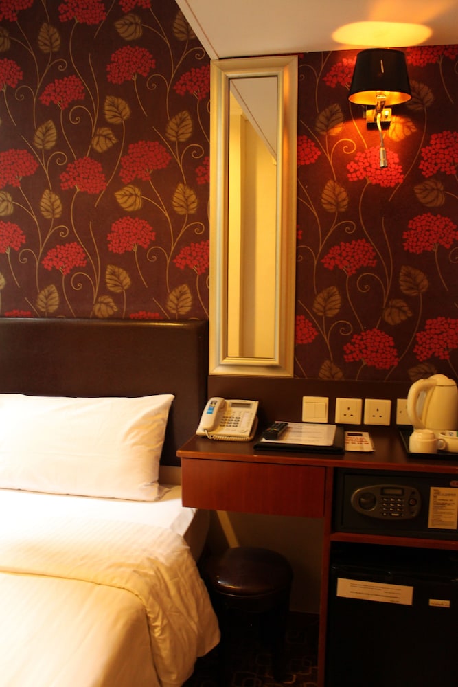 Single Room photo 2