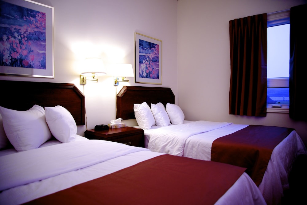 Standard Double Room, 2 Double Beds photo 1