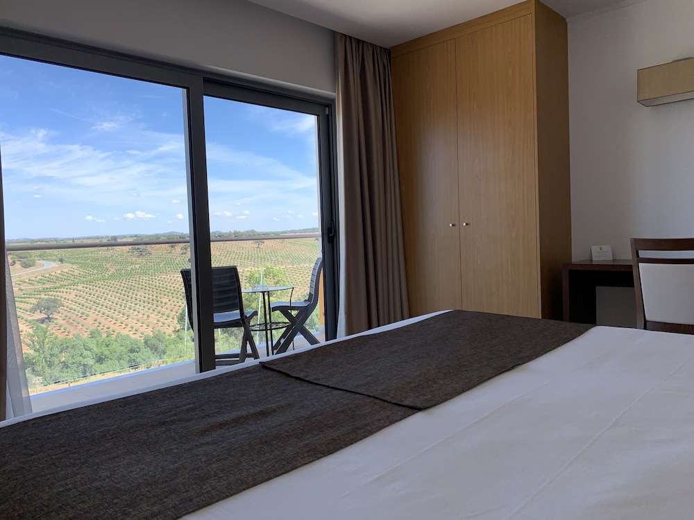 Superior Double or Twin Room (Panoramic countryside view) photo 3
