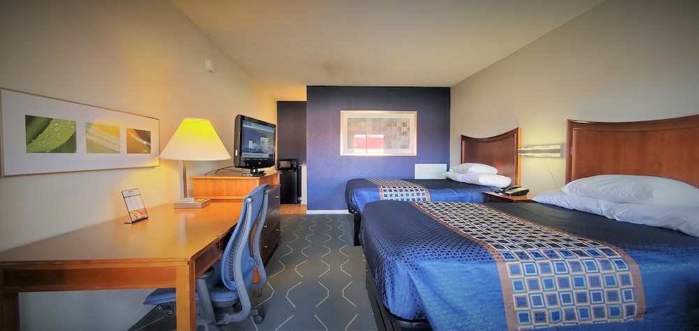 Studio Suite, 2 Double Beds, Kitchenette photo 2