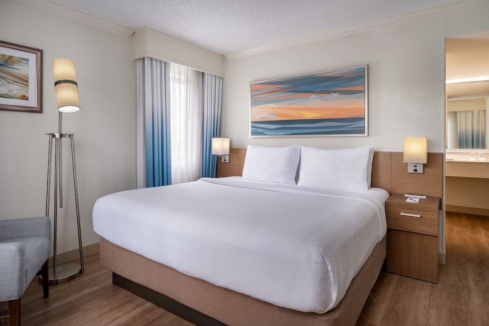 Suite, 1 King Bed with Sofa bed