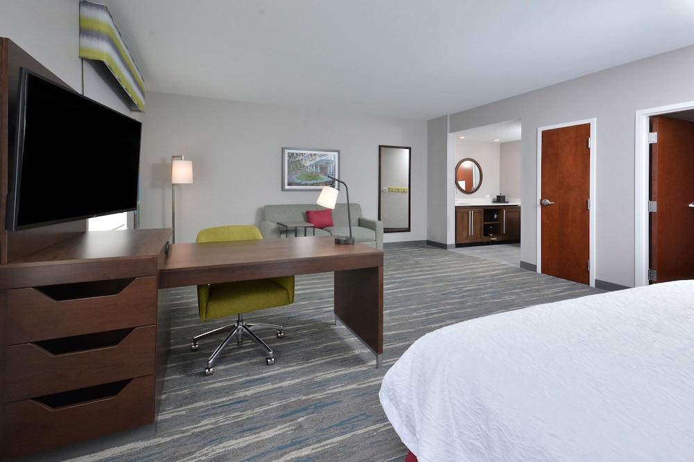 Suite, 1 King Bed, Accessible, Refrigerator & Microwave - Photo 12