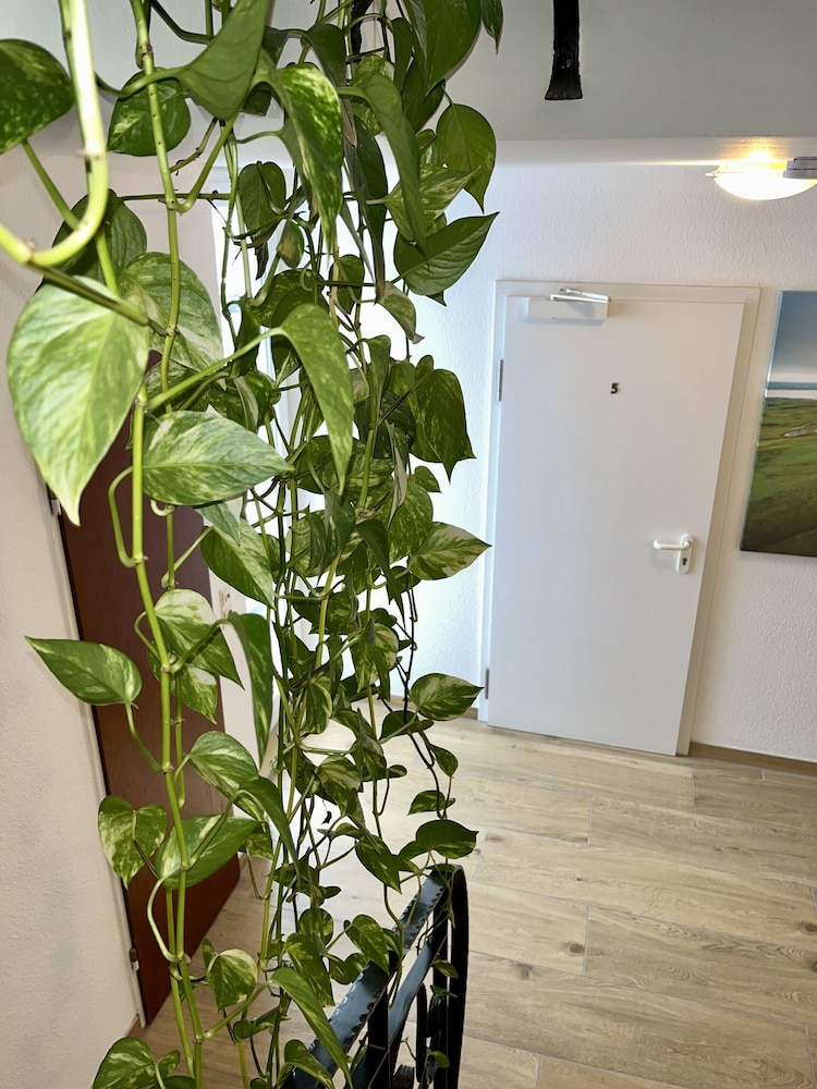 Basic Double Room, Private Bathroom - Photo 7