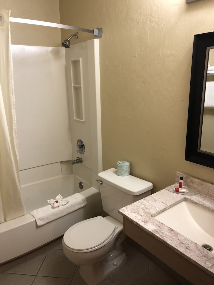 Studio Suite, 1 King Bed, Non Smoking - Photo 9