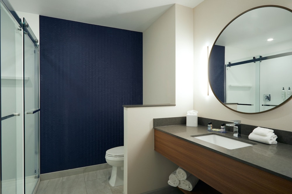 Room, 1 King Bed (Mobility Accessible, Roll-In Shower) - Photo 3