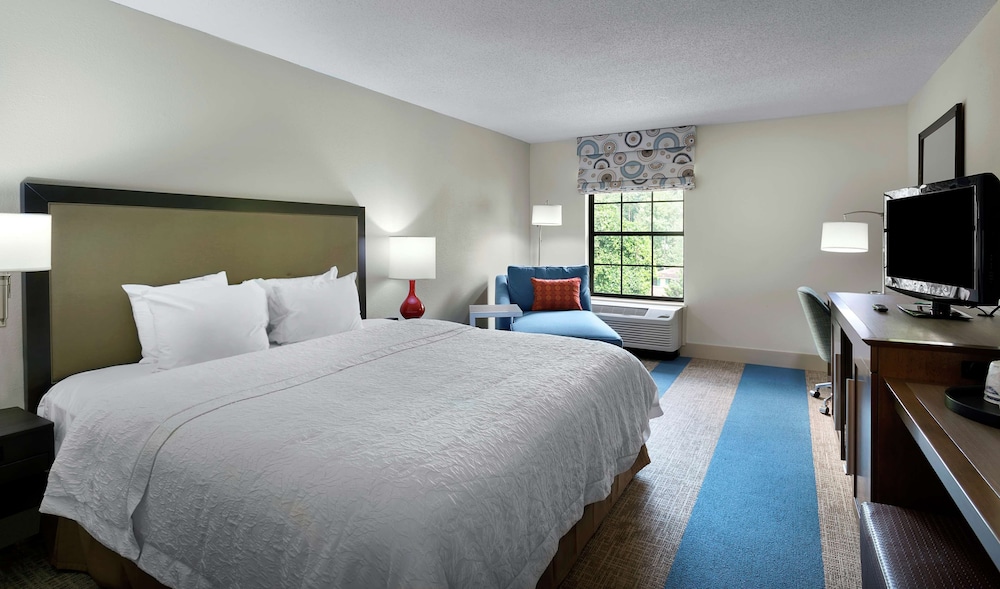 Room, 1 King Bed, Accessible Bathtub