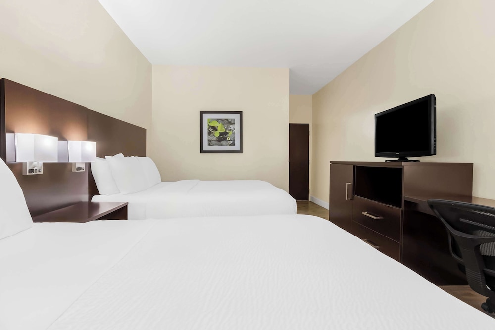 Standard Room, Multiple Beds, Accessible, Non Smoking (Bathtub) - Photo 4