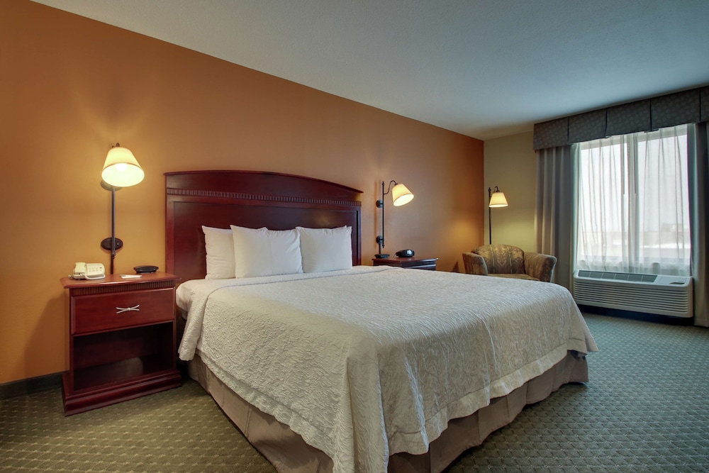 Room, 1 King Bed, Non Smoking, Bathtub photo 3