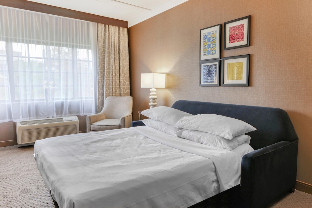 Suite, 1 King Bed with Sofa bed, Corner - Photo 6