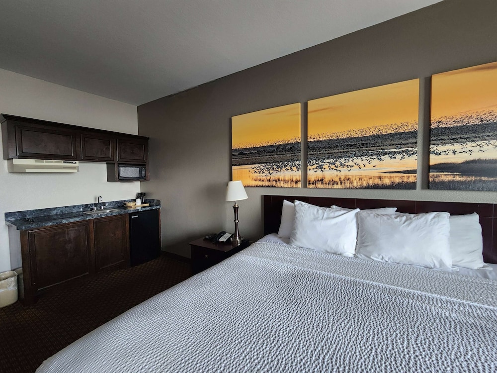Studio Suite, 1 King Bed, Non Smoking - Photo 3