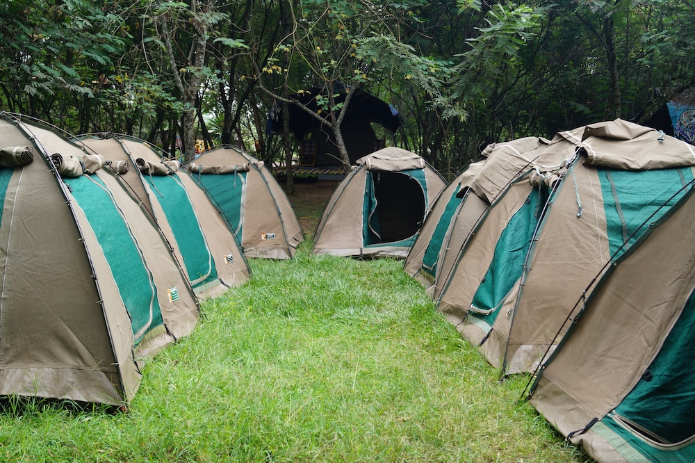 Bamboo Cottage photo 3