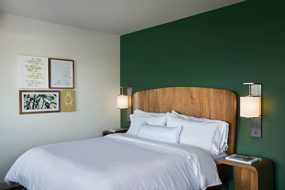 Room, 1 King Bed (Mobility Accessible, Roll-in Shower) - Photo 3