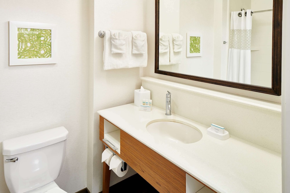 Studio, 1 King Bed, Non Smoking, Refrigerator & Microwave (Wet Bar)