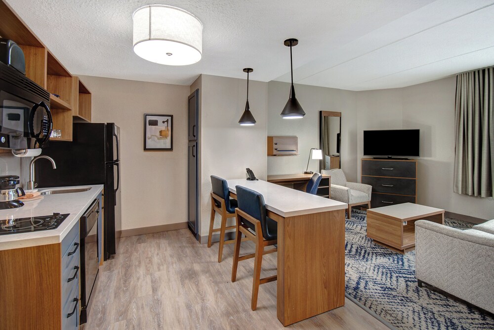Suite, 1 Bedroom, Kitchen - Photo 4