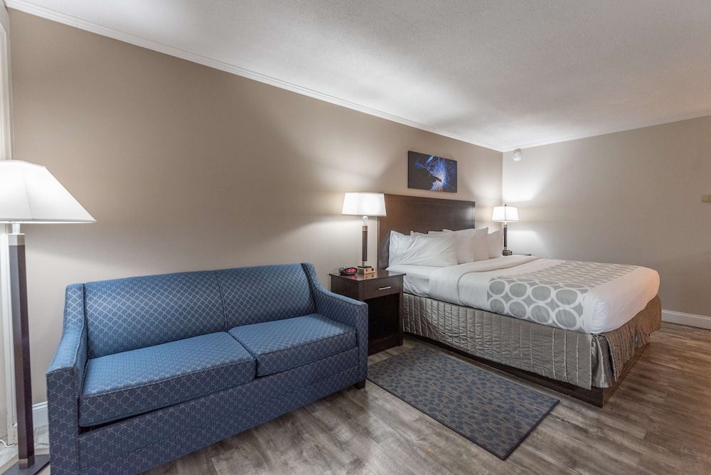 Standard Room, 1 King Bed, Non Smoking, Refrigerator & Microwave (with Sofabed) photo 2