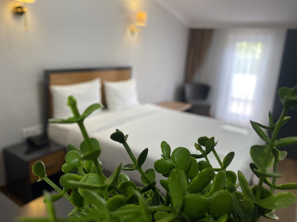 Luxury Room