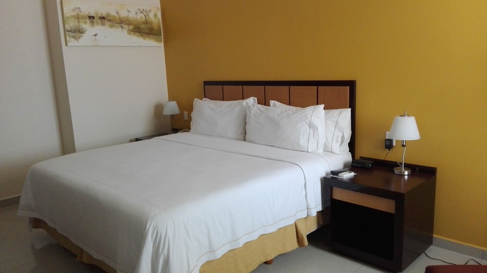 Standard Room, 1 King Bed, Accessible
