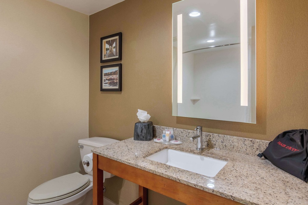 Studio Suite, 1 King Bed with Sofa bed, Accessible (Mobility and Hearing Accessible) - Photo 10