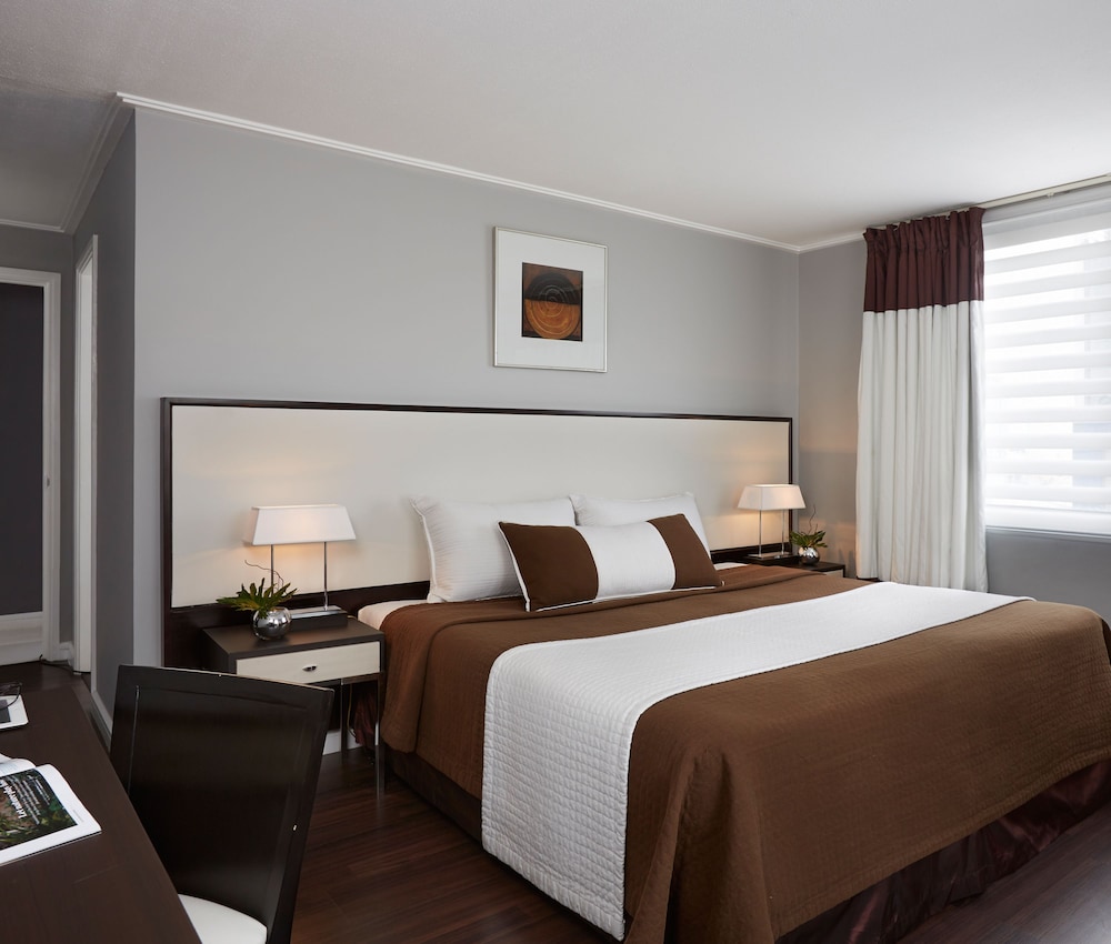 Suite, 1 Bedroom - Photo 3