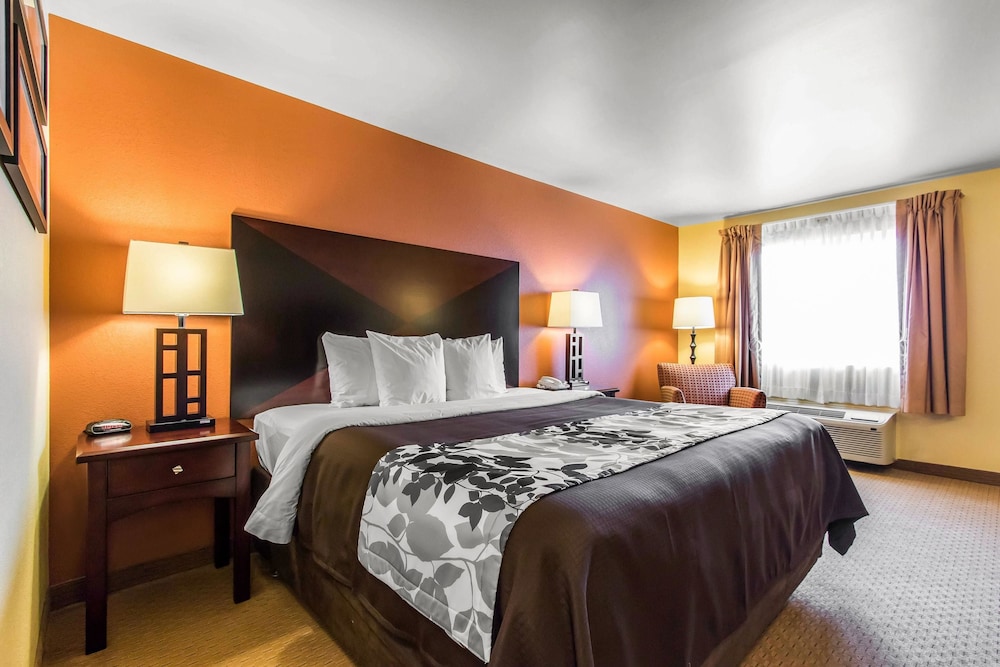 Room, 1 King Bed, Accessible - Photo 1