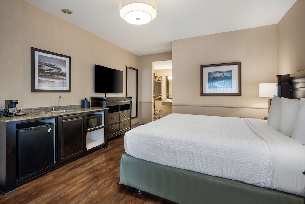 Standard Room, 1 King Bed, Accessible, Bathtub - Photo 2