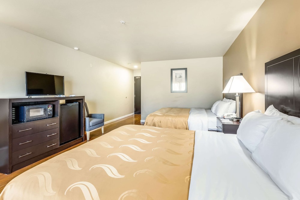Room, Multiple Beds, Non Smoking (Pet Friendly) photo 2