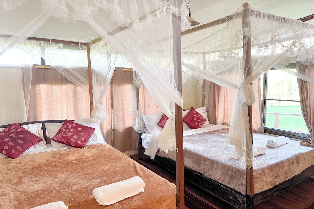 Royal Room photo 1