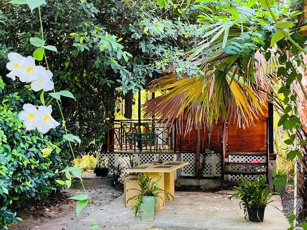 Soul Cabana - Photo 3