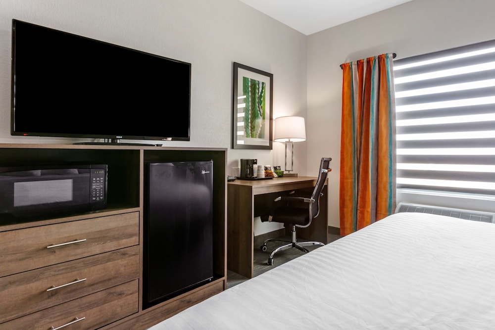 Standard Room, 1 King Bed, Non Smoking, Refrigerator & Microwave photo 1