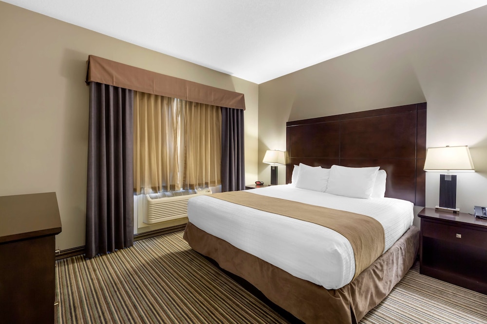 Standard Room, 1 King Bed, Non Smoking, Refrigerator & Microwave photo 3