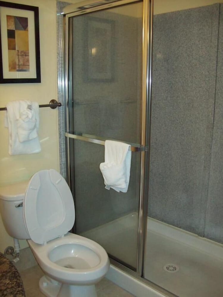 Standard Room, 1 King Bed, Smoking, Refrigerator & Microwave - Photo 4
