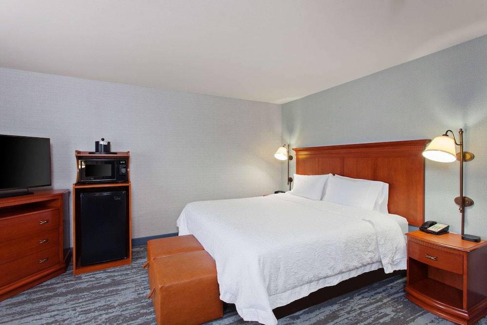 Room, 1 King Bed, Accessible - Photo 2