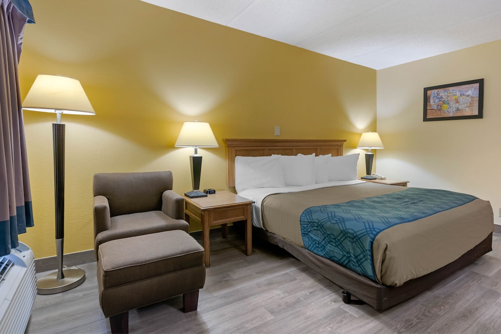 Room, 1 King Bed, Accessible, Non Smoking (Roll In Shower) - Photo 3