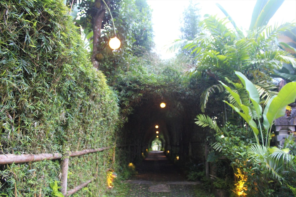 Classic Villa - Photo 26